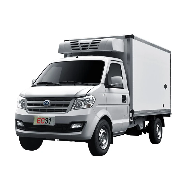 Ruichi EC31 Reefer Refrigerated Truck Customize